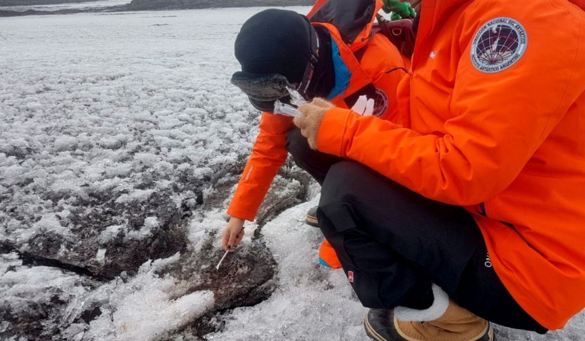 A team of Argentine scientists is using microorganisms native to Antarctica to clean up pollution